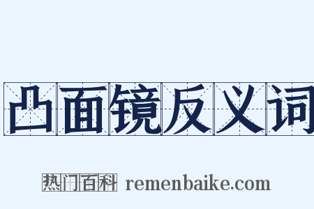 凸面镜反义词是什么意思的图片